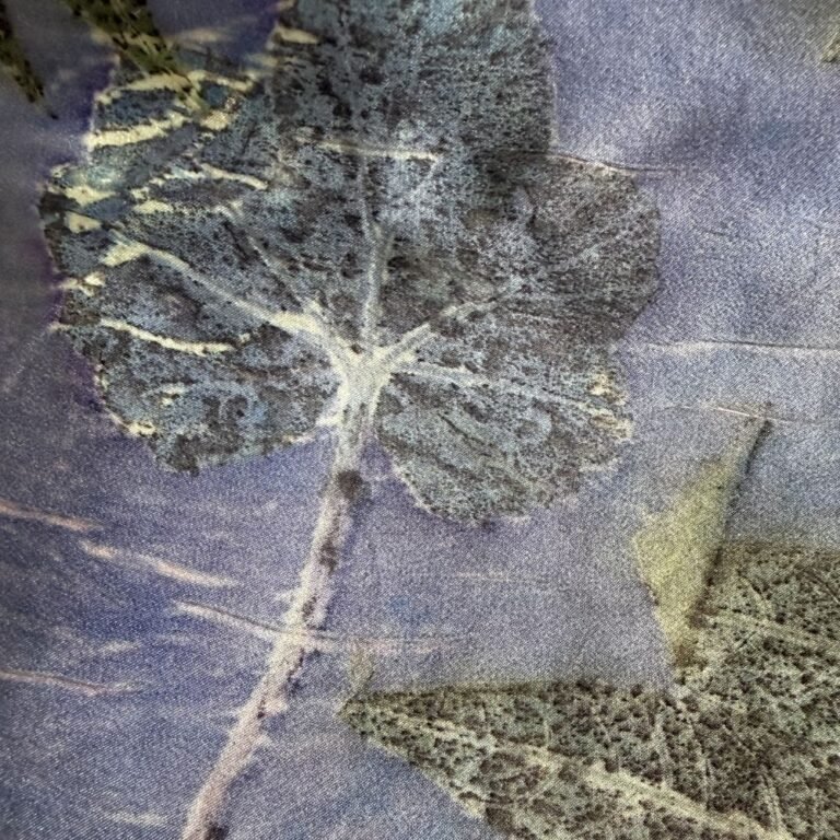 Botanical Printing on Silk Workshop